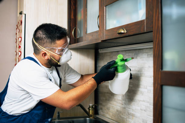 Best Pest Removal Services  in Indian Hills, NV