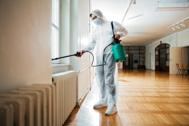Wasp Removal Services in Indian Hills, NV